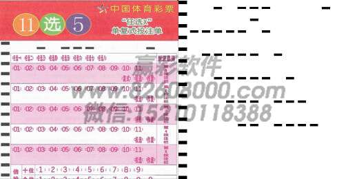 体彩11选5热敏纸投注单打印样式
